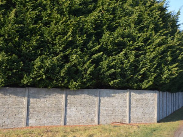 Garden Walls & Retaining Walls